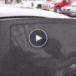 Universal-Autoseitenscheibenblenden – video