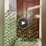 Ausziehbarer Gartenzaun – video