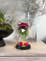 Leuchtende Rosen in luxuriöser Verpackung – video