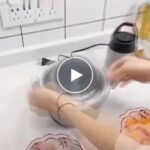 Multifunktionaler Mixer für Fleisch und Gemüse (2 l) – video