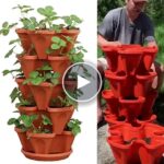 Vertikales Pflanzenset (3 Stück) – video