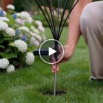 Solar-LED-Lampen (6 Leuchtmittel) – video
