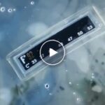 Tragbare Dusche – video