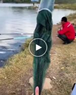 Faltbares Fischernetz – video