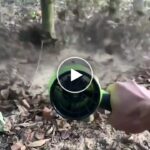 Brixon AKU Leistungsstarkes Mini-Gebläse + Ersatzakku (2 Stück, 4Ah) – video