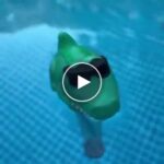 Drahtloses Schwimmbadthermometer – Reichweite 60 m, IP67, internes Display – video