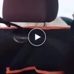 Wasserfeste Abdeckung für den Rücksitz des Autos für Hunde – video