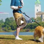 Freihand-Leine für Hunde – video