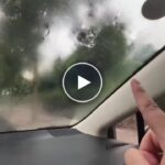 Autoscheibenreiniger mit drehbarem Mikrofaserkopf – video